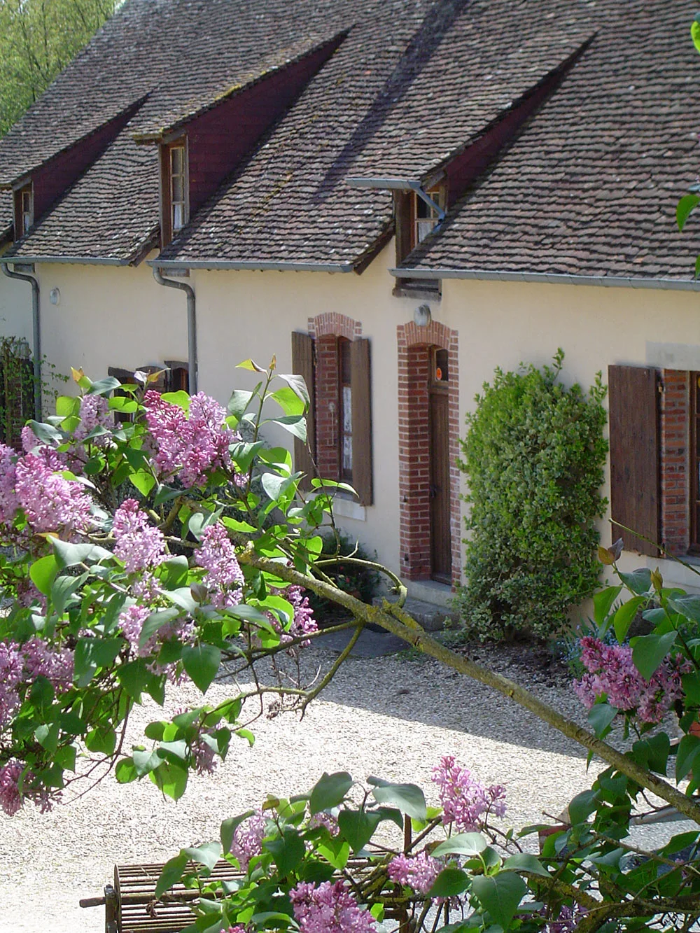 Gîte Sologne - les Lavandes<br />
Domaine des Merciers