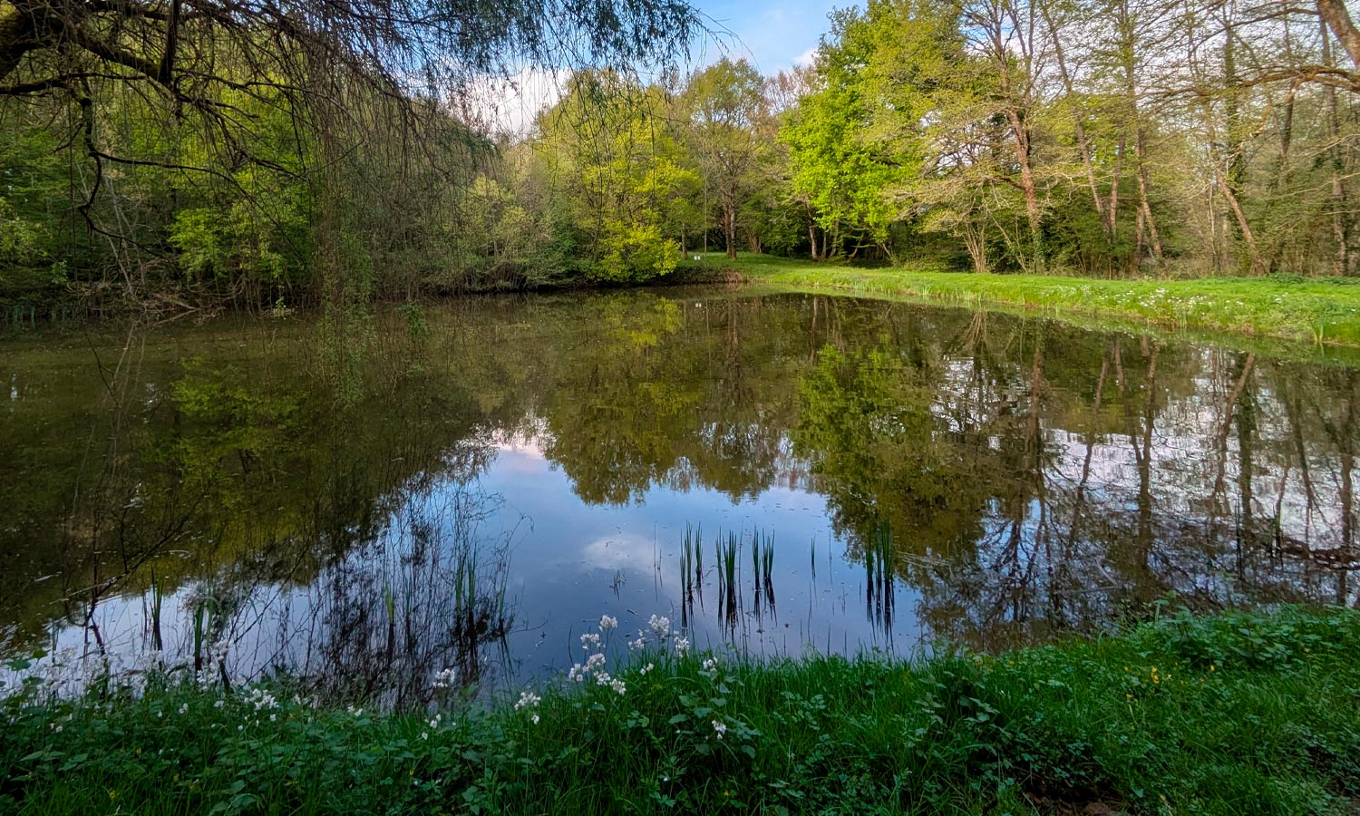 Séjour en Sologne
Domaine des Merciers