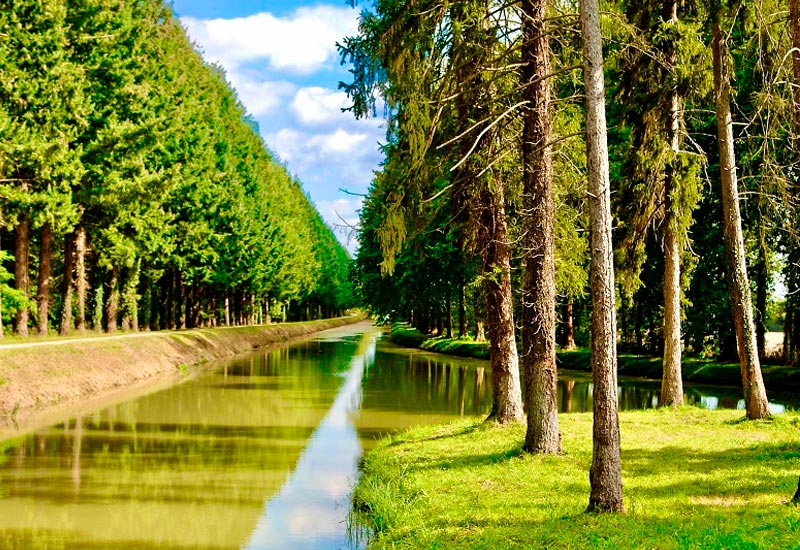 La sente bleue de Solgne