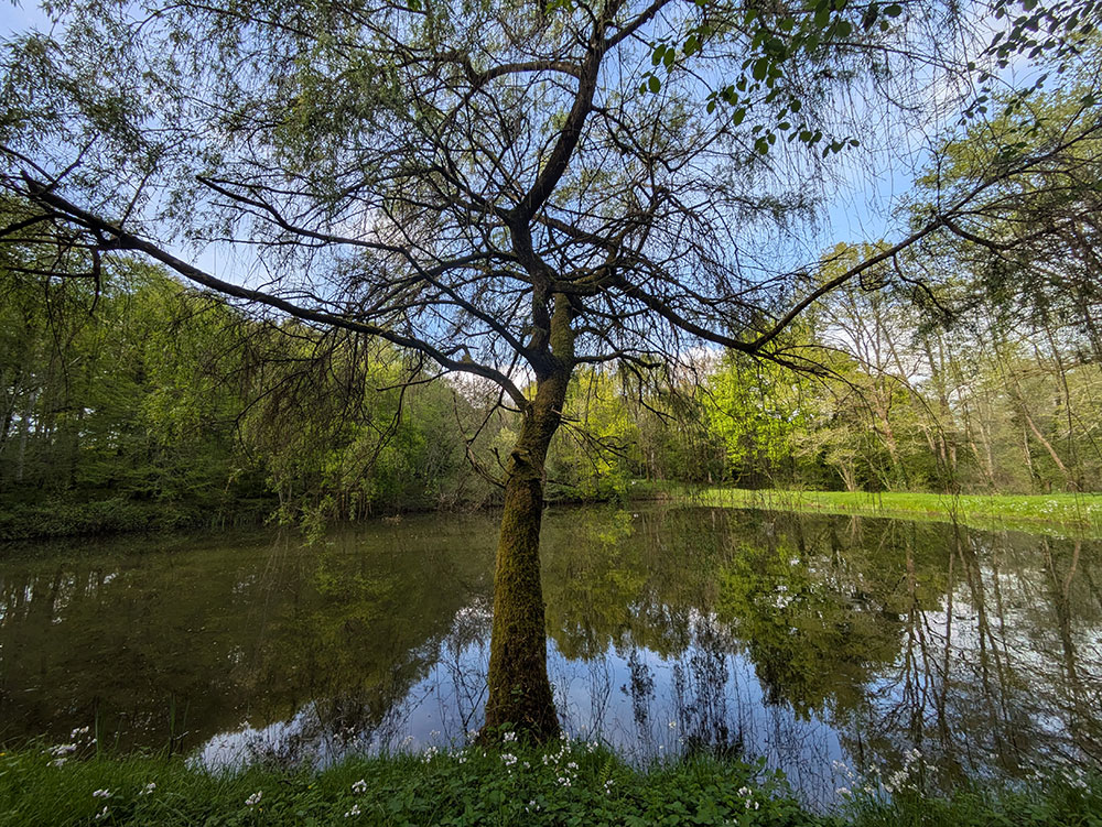 Étang du Domaine des Merciers Sologne