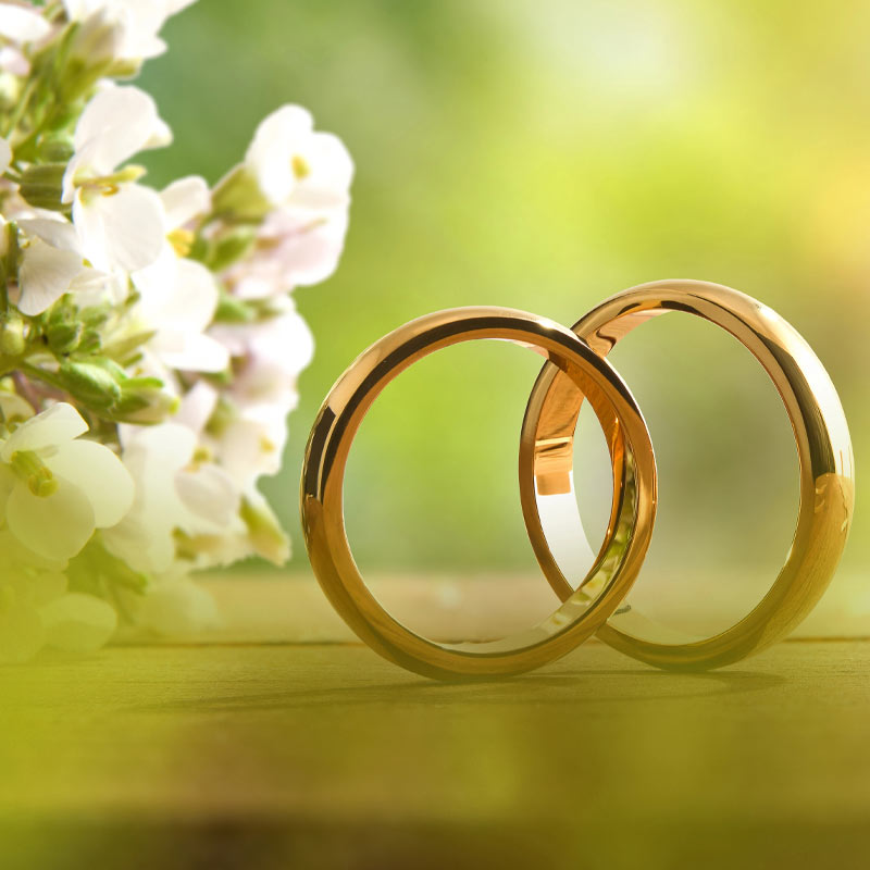 Votre mariage en Sologne Domaine des Merciers