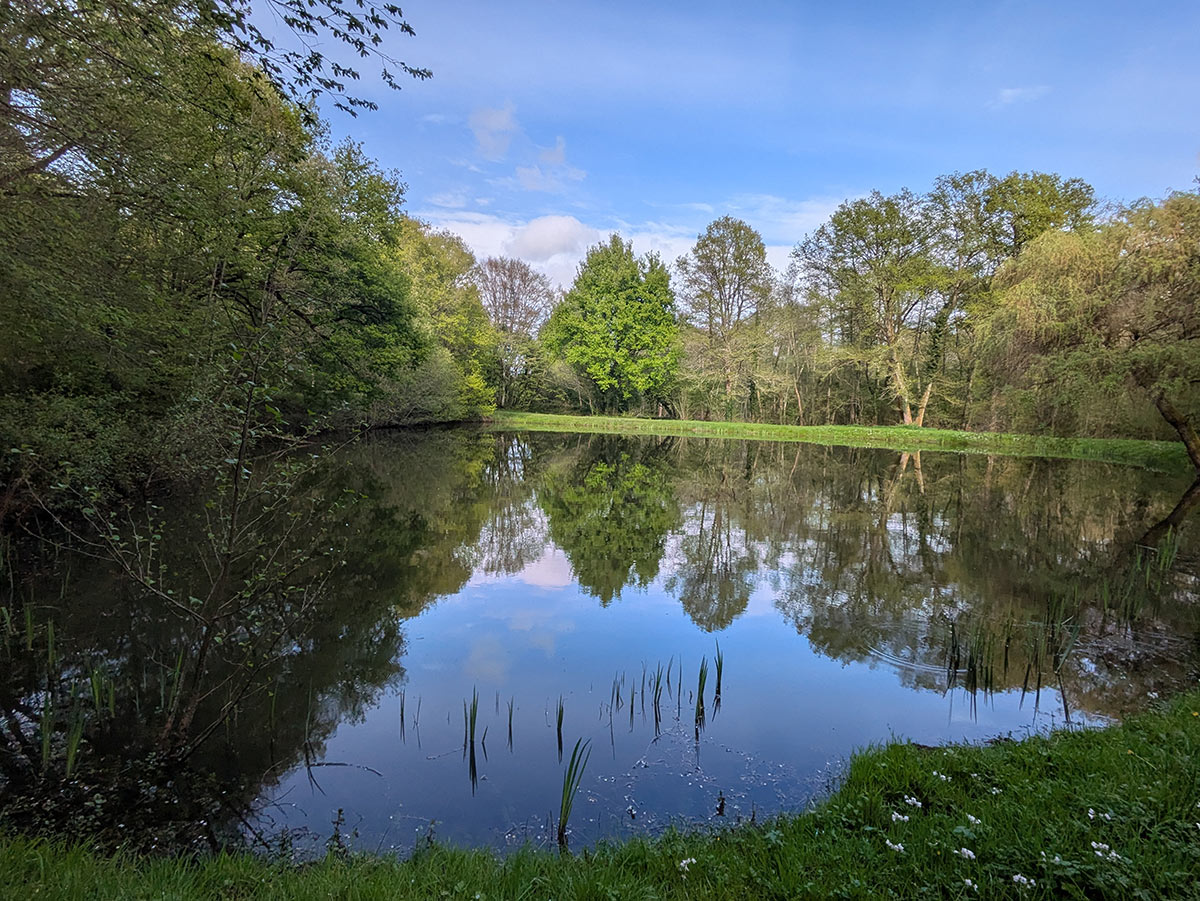 La nature et le séminaire en Sologne Domaine des Merciers