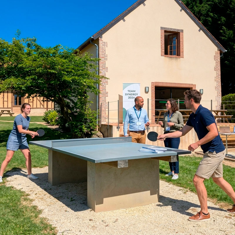Partie de Ping-Pong durant un séminaire en Sologne Domaine des Merciers