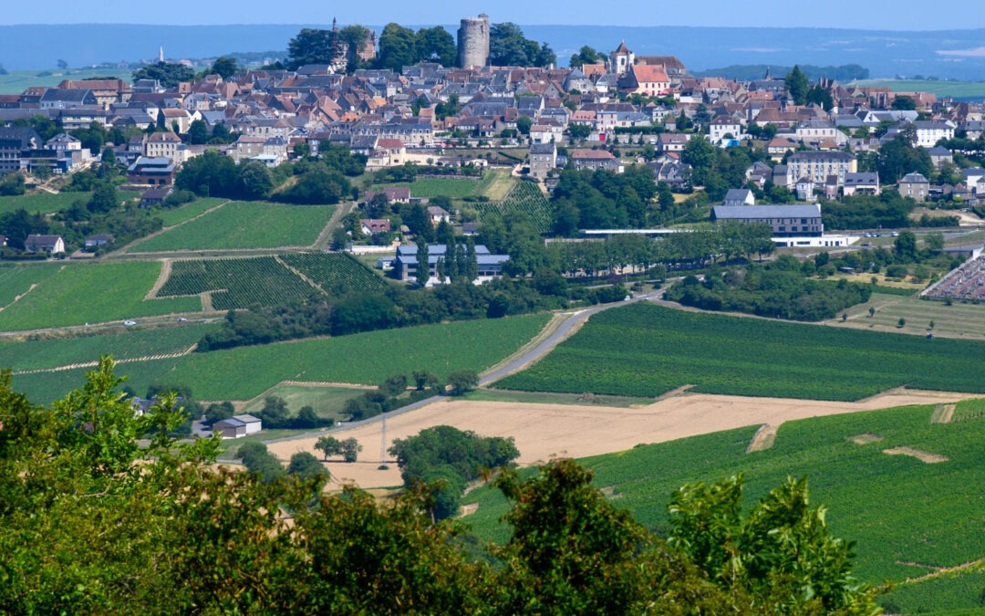 La Sologne du Cher Les vignes de Sancere Le Cher